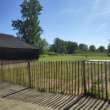 'T Dagwant Vila Geraardsbergen Exterior foto